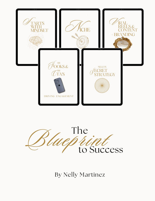 The Blueprint to Success